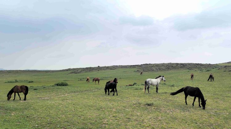 2-day 1-night · Private Tour · China + Inner Mongolia + Ulanqab + Huitengxile Grassland + Wulanhada Volcano Geopark