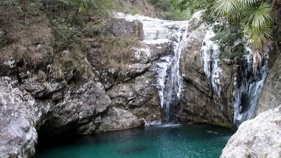 興隆國家森林公園