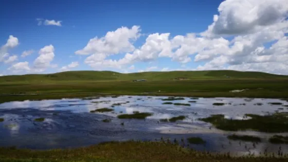 紅原自駕遊2號營地