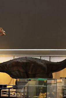 Musee des Dinosaures 'Dinosauria'-埃斯佩拉扎