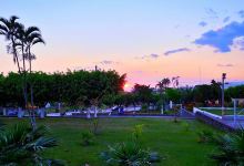 Municipal De El Palmar Park景点图片