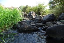 Cascadas del Rincón景点图片