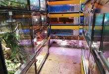 Zoofachmarkt Gräber购物图片