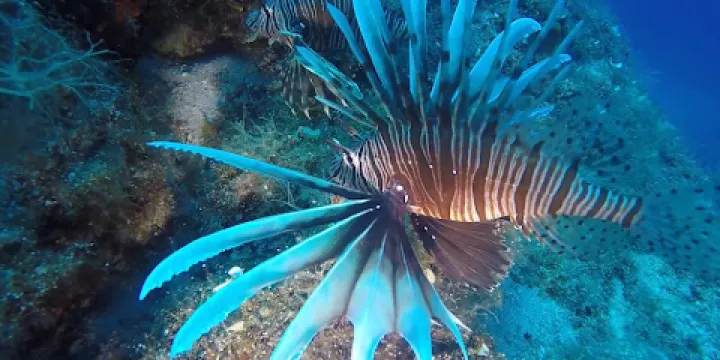 Porto Heli Scuba Club