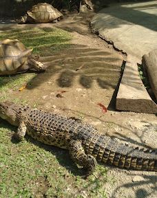 Lembang Park & Zoo-伦邦