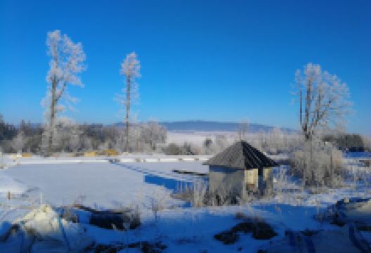 Szkółka Roślin Ozdobnych w Pustelniku购物图片