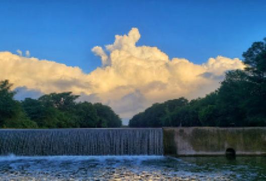 Lion's Park Dam景点图片