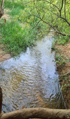 Hod HaSharon Park-Petach Tikva