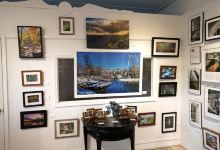 White Rabbit Fine Arts Gallery景点图片
