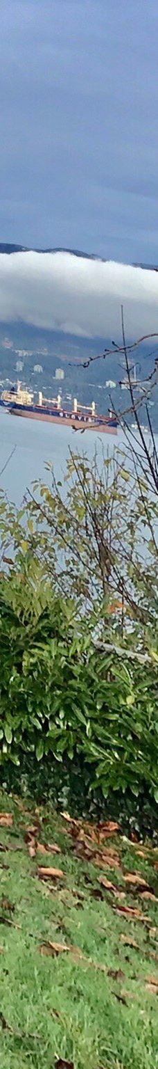 英吉利湾-温哥华