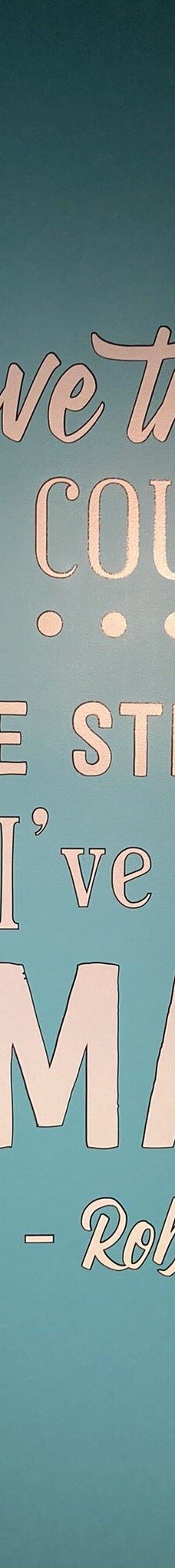 Ripley's Believe It or Not! World of Adventure-纽波特