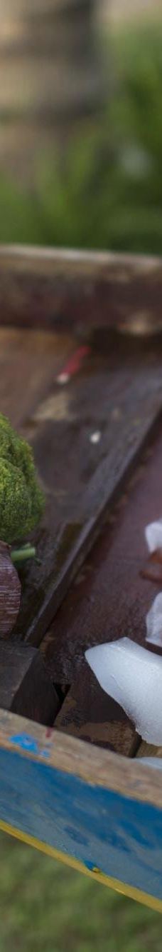 Silk Village Hoi An - The Tourist-会安