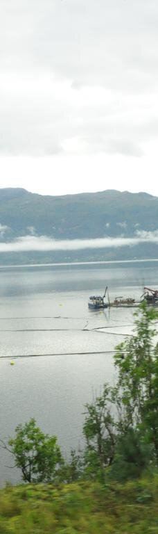 哈当厄尔峡湾-Stamnes