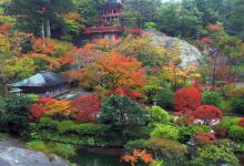 那谷寺（公式）景点图片