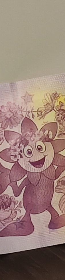 迈瑙岛-康斯坦茨