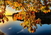 Booker T. Washington State Park景点图片