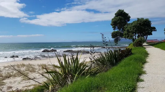 Coromandel Forest Park