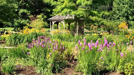 Simpson Garden Park