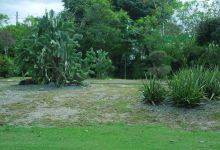 Caguas Botanical Garden "William Miranda Marin"景点图片