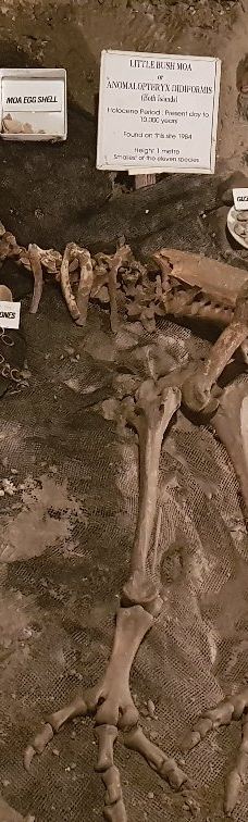 Ngarua Caves-Takaka Hill