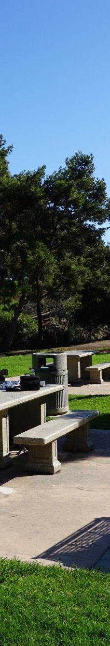 Pines Park-达纳点