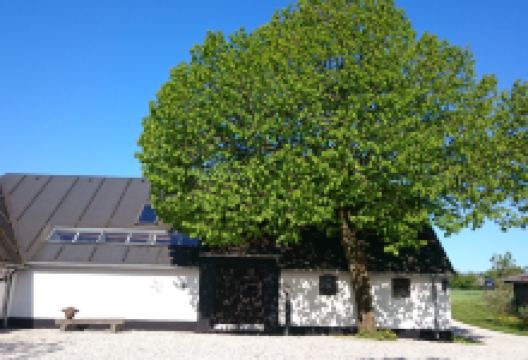 Galleri Salshus景点图片