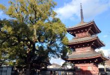 Ikaruga Temple景点图片