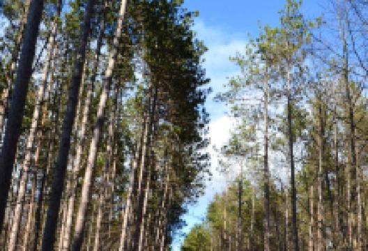 Springwater Provincial Park景点图片