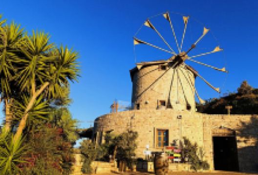 Datca Vineyard & Winery景点图片