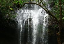 Luu Ly Waterfall景点图片