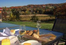 Vignoble Les Trois Clochers景点图片