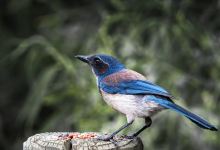 Discovery Lake景点图片