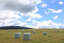 Howells Point Reserve景点图片