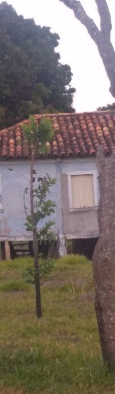 Cachoeira Serra Morena-圣安娜-杜里亚舒