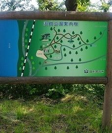 Hamadate Park-由利本庄市