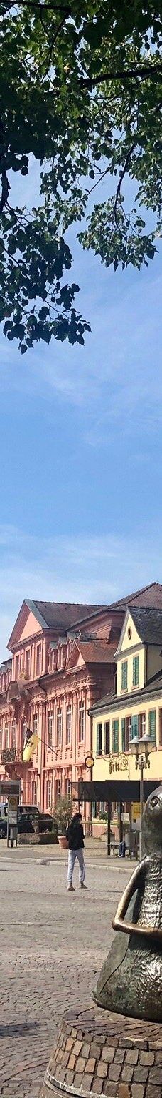 Alter Marktplatz-奥芬堡