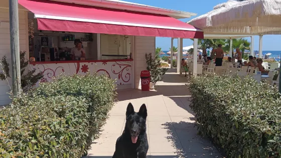 Chalet Luna Rossa  -  Welcome Dogs
