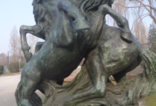 Cavalli Innamorati景点图片