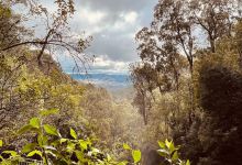 Snobs Creek Falls Walk景点图片