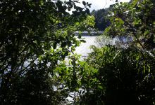 Lake Rotokura景点图片