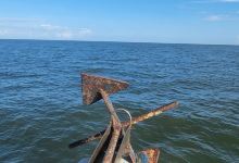 Dauphin Island Marina景点图片