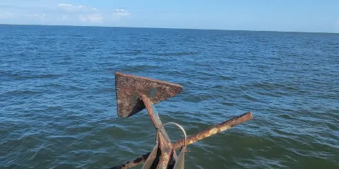 Dauphin Island Marina