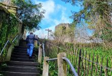 Radical Steps景点图片