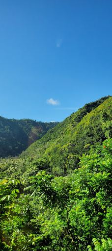 Upper Waikani Falls-茂宜县