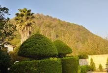 Beach CHABOKSAR景点图片