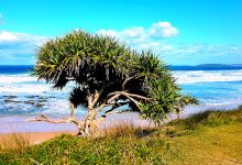 Ocean Street Beach Lookout景点图片