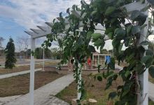 Infantil de Tierra Hueca Park景点图片