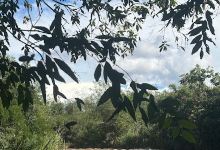 Cachoeira景点图片