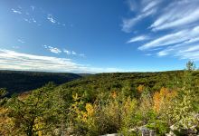 Mattatuck State Forest景点图片