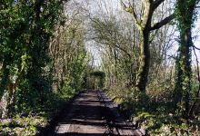 Dollypers Hill Nature Reserve景点图片